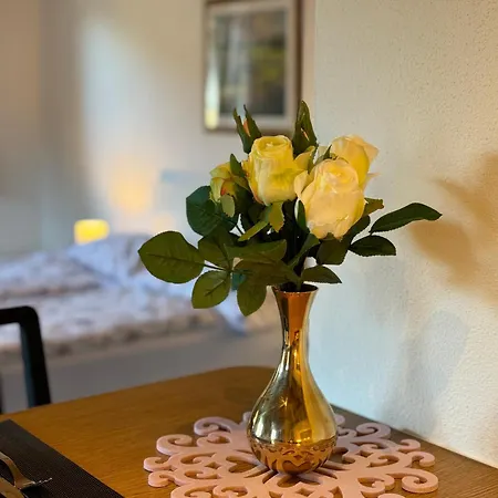 Apartment City-apart Stadt Kitzbühel